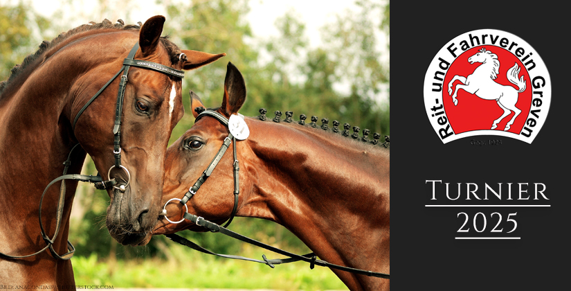 Ganz starker Sport in Pentrup